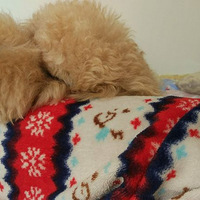 ����Ҳ�����ҵĴ󱦱�