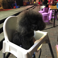 ���˾�������ʱ����������������