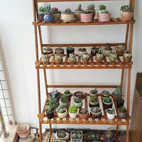 һ��������ƺ�������(/~0~)/