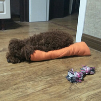 ���̩��MM����