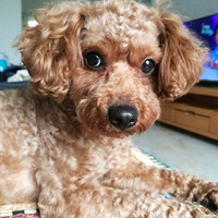 ��� ����˯�˯�ϳ����� ��û��������