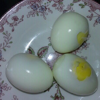 �����͵���������