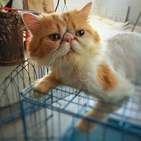 �����Һ�С��������