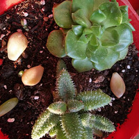 ���Ƕ�����æ��һ�����£��Һ�����ǩ��