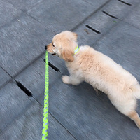 �����ճ�