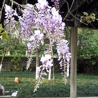 У԰�����ٻ�