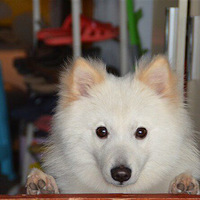 ����Ѱ����ǧ�ٶ�~