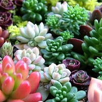 ���쿪ʼ����Ķ���׼����ζ��ģ�