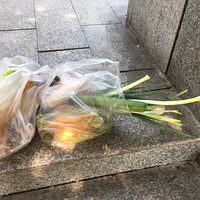 ��������Ŵ���