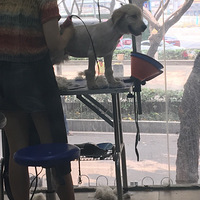 �����ճ�������_ͺëЦЦ