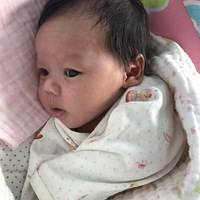 �����������գ����������