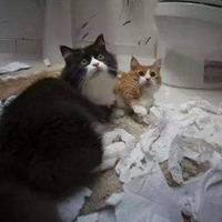 �����ǲ��ڼҵ�ʱ�򣬳��ﶼ����ʲô��