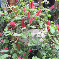 Ѱͬ�ǻ��ѣ����������ݲ�