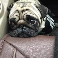 ��������Ҹ�Ů����