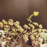 һ����ע�� ���Դ�ů����