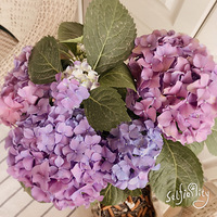 ��ĩ������