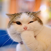 ȳͱǼˣѷ~