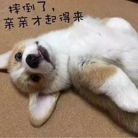 ��Щ��ϰ�ߣ�������Ĺ������������ꡱ��