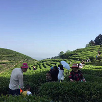 Ҫǻֵͯ