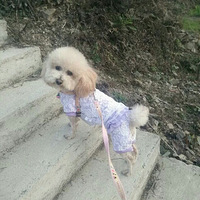 ̩�ϣ�������ɰ���С��ʹ