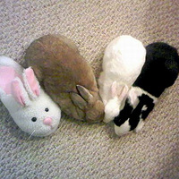 ����αװ��ʦ��һ���ܿ���������ţ�����ţ��㿴��