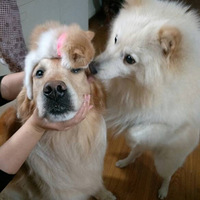 С�һ��ǵ��ճ���