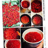 ���ҳɳ���----���ҽ�