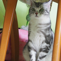 �����Ů�������ɣ��ǻ�����