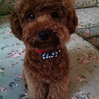 �μ��ȳ������ ϲ����ͶһƱ��