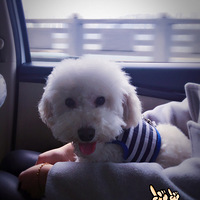 Ͷ���㱦���һƱ