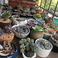 ������������ļ���