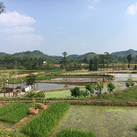 ¶Ӫ���ܴ���Ȼ�����������Ȼ��Ϊһ�壬����������