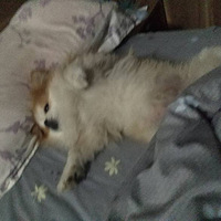 �ҵĳ���ҵĹ�