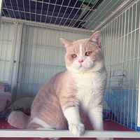 ��һ�����³ɳ���