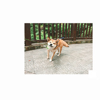 ΤС��  |  �Һ�ϲ����ģ������㵽���������¡�