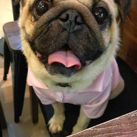 �����Ϲ����ֹ��־���