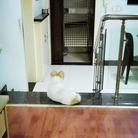 ����ʮ��·Ѱ��·