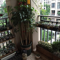 ����һƬ���⣬���Һ���ɣ��