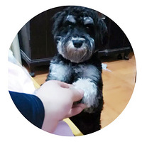 ��ʹ�����ˣ�����ҲҪһ��Ϳɿ�һ��ӭ��������