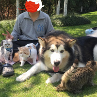 �置�����Ѽ��룬ϣ�����ǽ����ֿ���