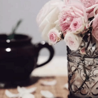 �������Ż����̵㣡�����۸�~��