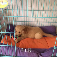 ���Դ��ļ���������Ұ���Ĺ���