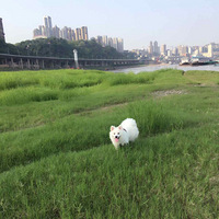 �Ժ�Ī˵��û�������ˣ��