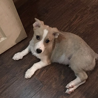 ��λ���񣺡��ٻ�����������