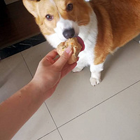 ��������Ȼ����һֱ����ȥ����