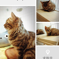 �������è��