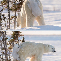 ĸ�׽ڽ����������ǵ��������Ȼ��ˡ���