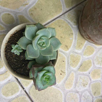 ���ⶼ��ʲô���⣿