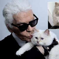 ���������ݻ����������ͷ��Ҹ�����ȣ�����Ц�ɣ���