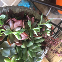 ����������ȥ�����ⶼ����ˡ���